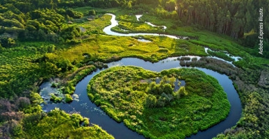 2026-01-15 anonsas mažas_ES gamtos atkūrimo įstatymas (002)-365cda3b81dec08490727619446cd839.jpg